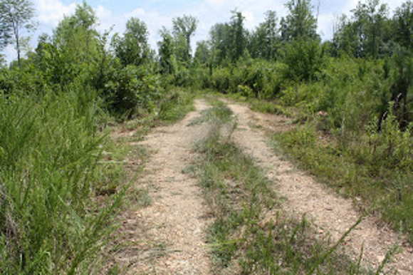 Cedartown Cherokee Cherokee Internment Fort site