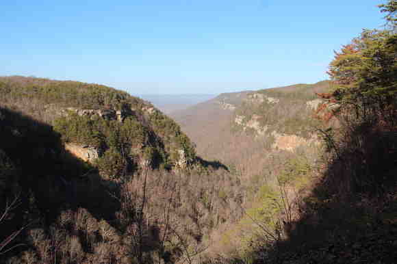 Cloudland Canyon