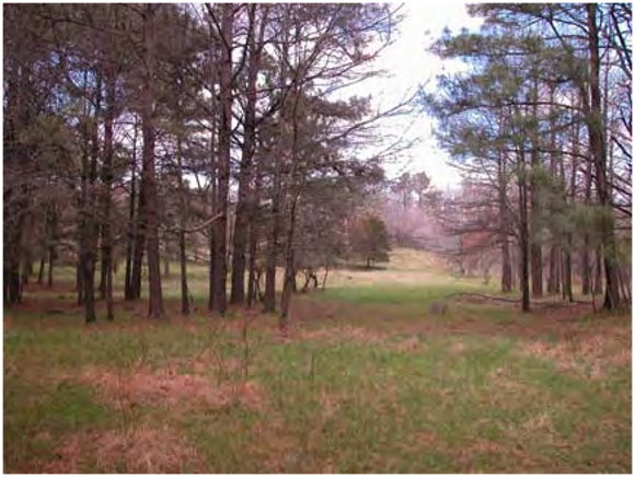 Possible site of Fort Campbell